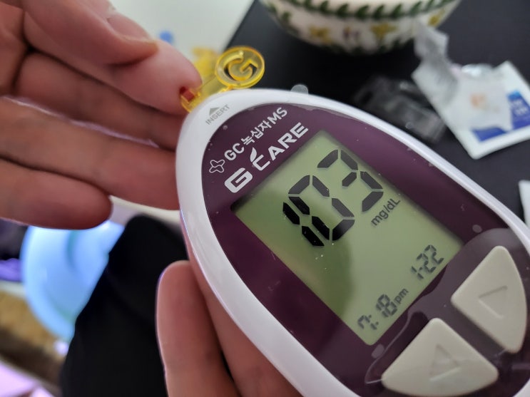 녹십자 혈당측정기 :: 집에서 셀프로 당뇨검사기 사용하기