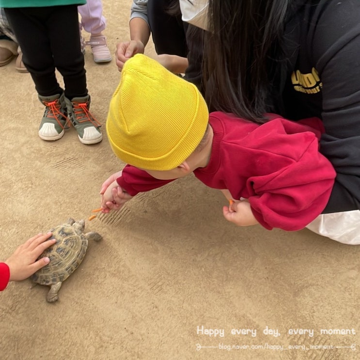  [수원 체험농장] 포시즌힐링팜, 아이와 가볼만한 곳, 꼭 다시 방문하리라~~
