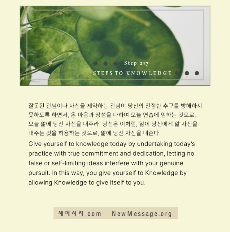 제 217 계단: 나는 오늘 앎에 나 자신을 내준다 I give myself to Knowledge today. 제 217 계단: 나는 오늘 앎에 나 자신을 내준다 I give myself to Knowledge today.