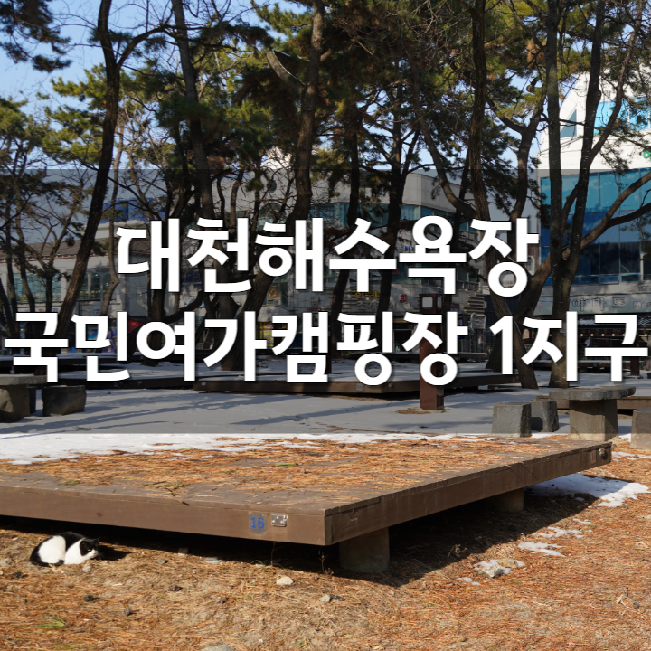 충남 서해 대천해수욕장 국민여가캠핑장(1지구)의 예약 방법과 야영장 시설 정보