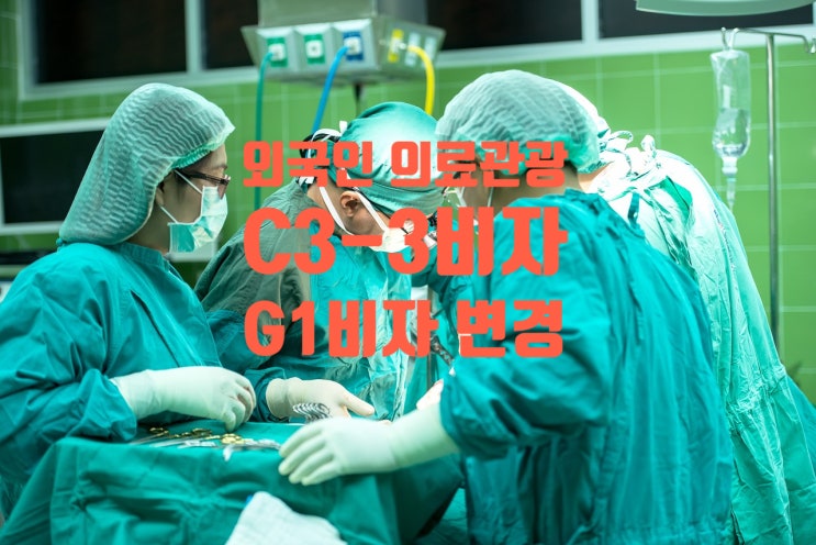 C3_3에서 G1_9_10변경 외국인 의료광관비자_장기요양치료비자 허가 C3_3에서 G1_9_10변경 외국인 의료광관비자_장기요양치료비자 허가