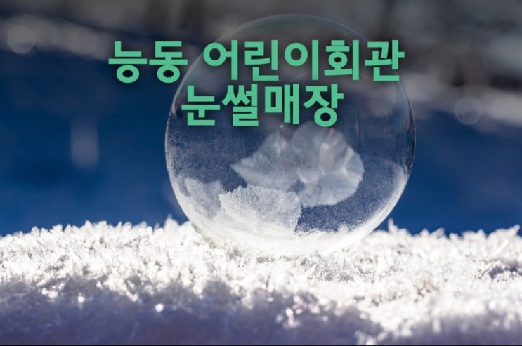 능동 어린이회관 눈썰매장 주차장 위치