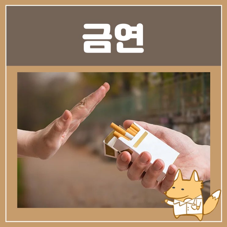 새해 금연 챌린지! 금단증상을 위한 니코레트 금연패치