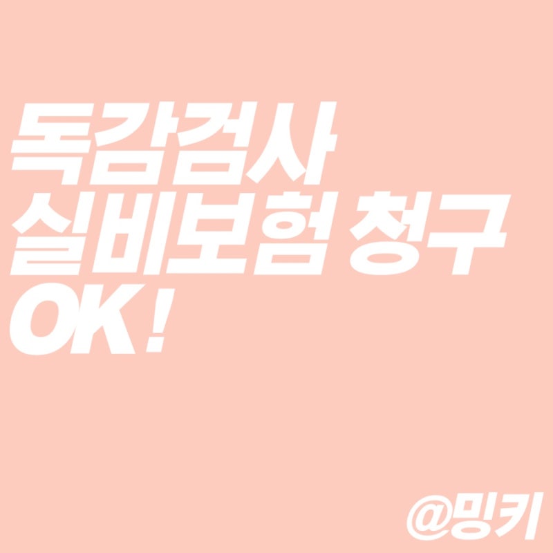 메리츠화재 독감검사 실비 청구