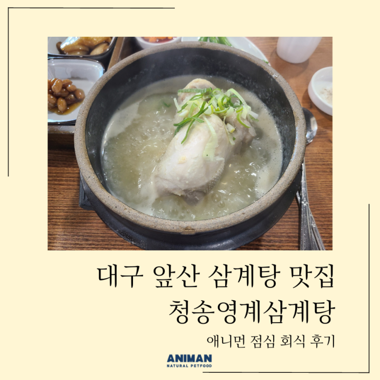  대구 앞산 삼계탕 맛집 / 청송영계삼계탕에 점심회식 다녀왔어요
