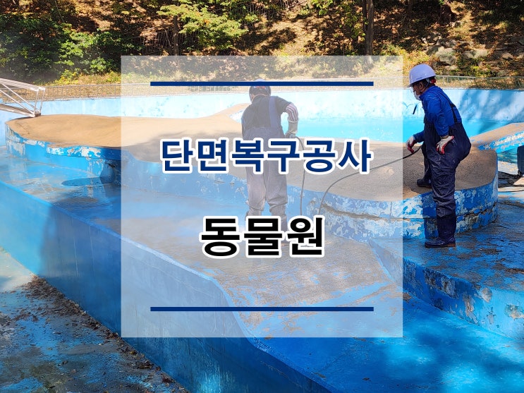  튼튼보강 대구 동물원 : 단면복구공사/균열보수/방수공사/표면처리/석공사/침수보수공사/철근노출/구조보강/대수선공사