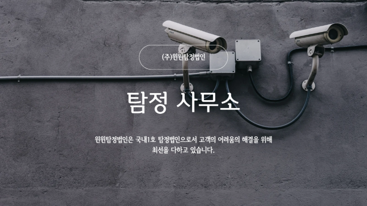  탐정사무소 공권력이 닿지 않는 부분에서