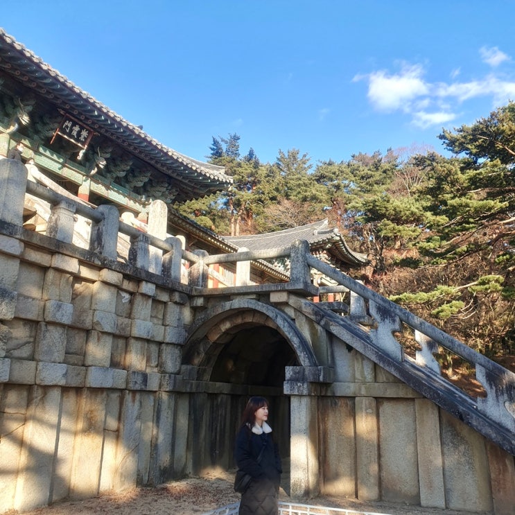  [경주]2박3일 뚜벅이 여행(완) / (극한)석굴암 / 불국사 / 다인 매운등갈비찜 / 경주십원빵