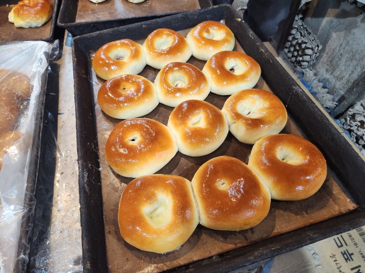  울산 단팥빵 빵수니들 집합! 옛날 단팥빵 평화양과점