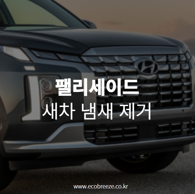  팰리세이드 신차냄새, 새차증후군 제거 이렇게 하면~