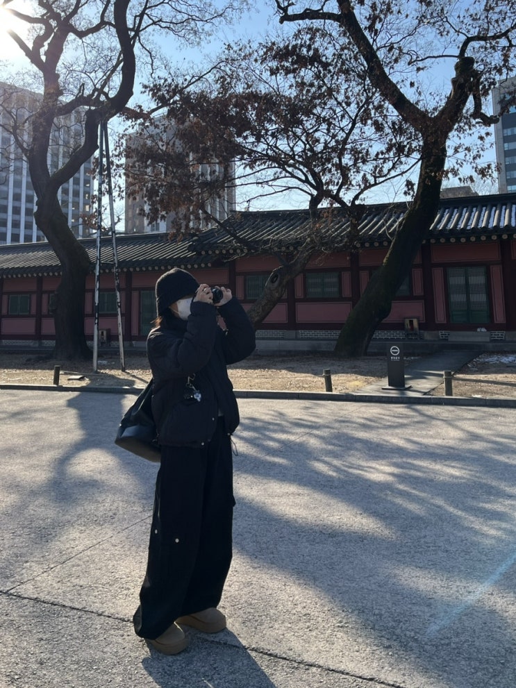  안국역 다녀왔습니다 (온따뜻한 솥밥, 창덕궁 창경궁, 카페 텅)