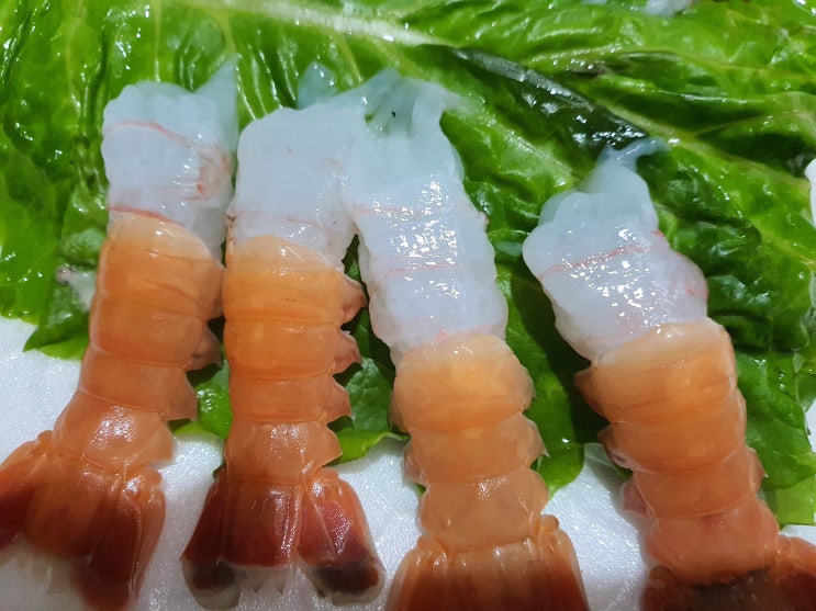  서귀포 올레시장 회포장 전문 드림회센터에서 딱새우회 만 원어치 사서 먹었다.