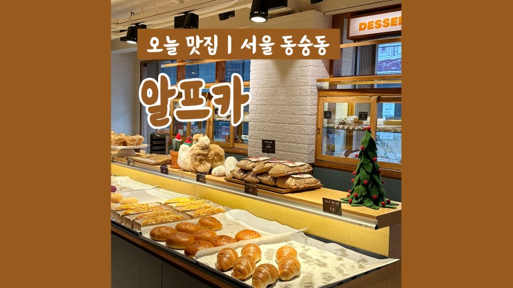대학로카페 알프카 빵이 가득한 대학로베이커리카페 대학로카페 알프카 빵이 가득한 대학로베이커리카페