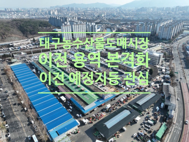  새해 '대구농수산물도매시장' 이전 용역 본격화...이전 예정지 등'관심'