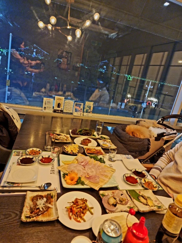  내돈내산 광안리애견동반식당, 광안리뷰맛집 이어도횟집 솔직후기