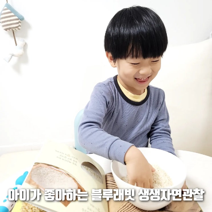  4세 전집추천! 챕터가 다양한 블루래빗 생생 자연관찰