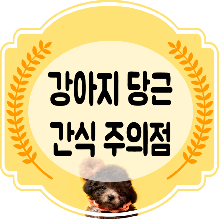  강아지 당근 간식으로 줘도 될까?? (생당근)