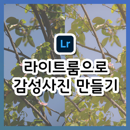  [라이트룸 강의] 감성적인 사진을 만드는 방법