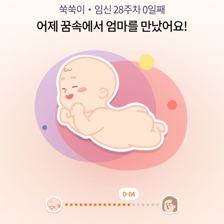  [쑥쑥이일기 #14] 27주 5일차 입체초음파 벌써 얼굴? 내 생일선물