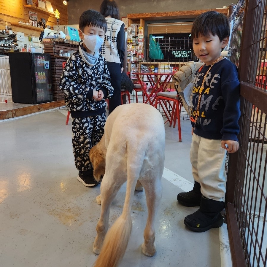 빙고애견카페 사진 3