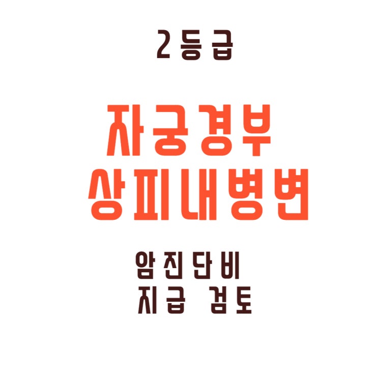  자궁경부 이형성증 편평 상피내 신생물 2등급 (squamous intraepithelial neoplasia) 유사암 진단비 !!