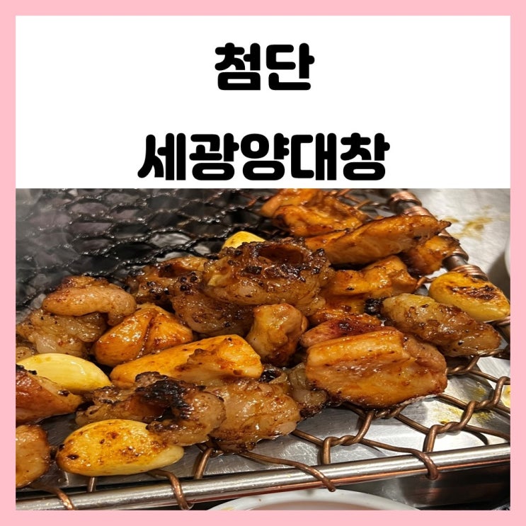 광주 대창구이 맛집 첨단 술집 세광양대창