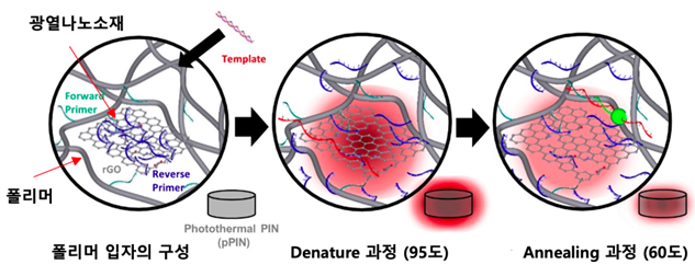  [뉴스] 자가진단키트보다 더 빠른 PCR, 5분만에 진단