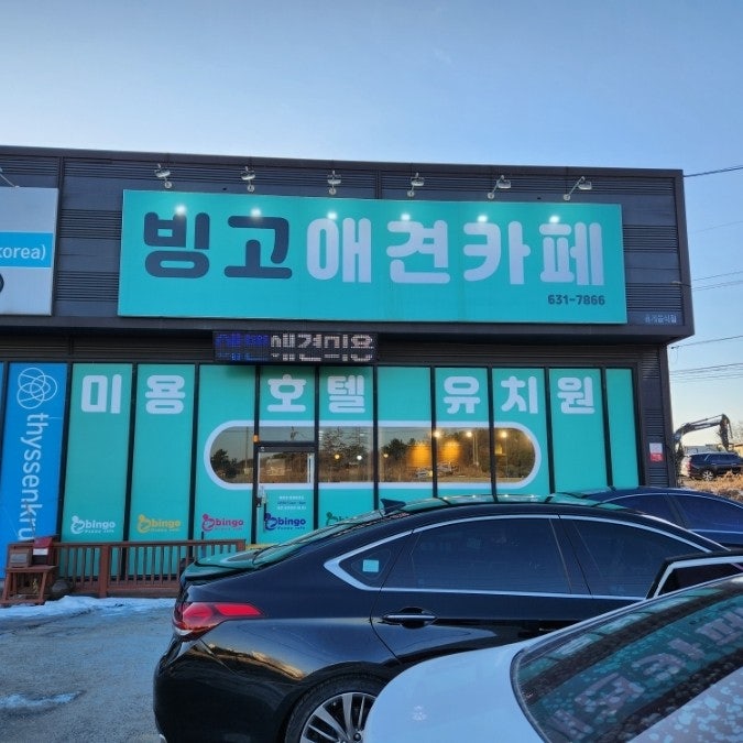 빙고애견카페 사진 1