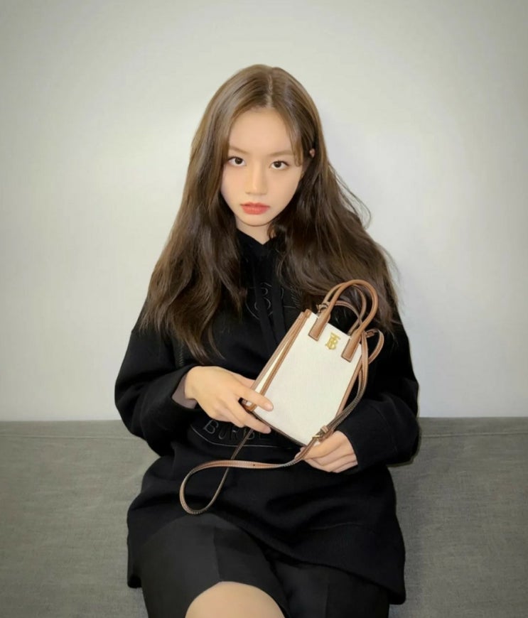  명품브랜드 버버리(BURBERRY) 미니백, "캔버스 레더 마이크로 프란시스 토트" 정보/추천