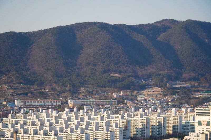 김해 내외동을 소개합니다 : 네이버 블로그