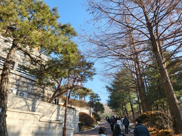  새로운 도전[New Challenge]