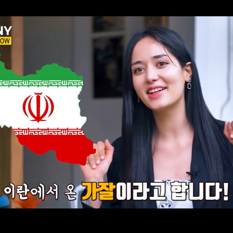 일부다처제 이란. 이란인과 한국인의 대화