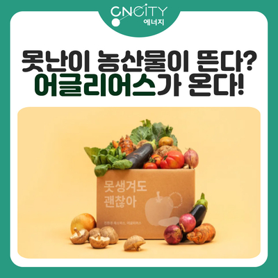  못난이 친환경 채소가 뜬다? 어글리어스가 온다!