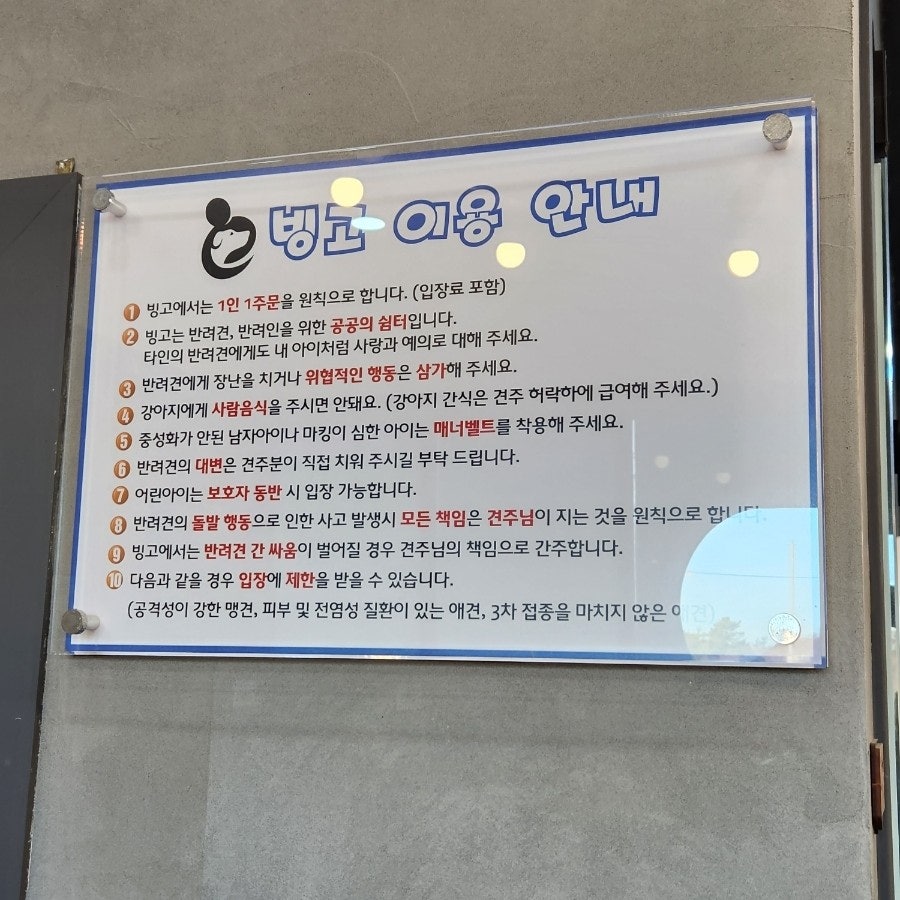 빙고애견카페 사진 4