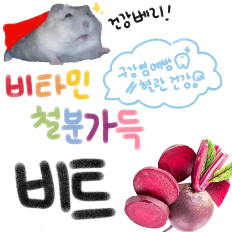  햄스터가 붉은색 오줌을 본다면? 햄스터 혈뇨/피오줌/색소 오줌