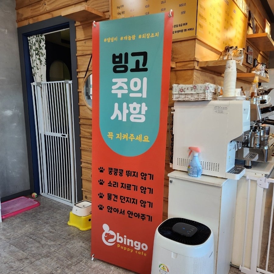 빙고애견카페 사진 5