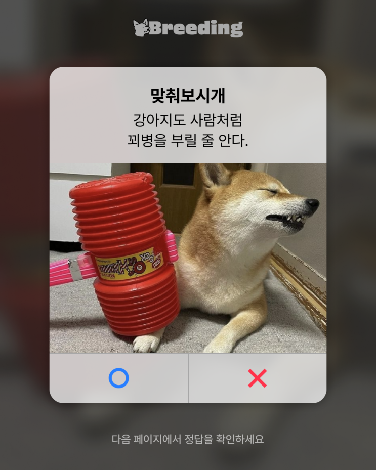 강아지도 꾀병을 부릴까? 강아지 꾀병에 대해서 알아보자 강아지도 꾀병을 부릴까? 강아지 꾀병에 대해서 알아보자