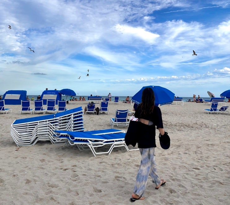  [미국 일상] 크리스마스 in 마이애미 비치 (Miami beach)
