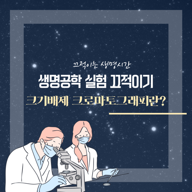  [크로마토그래피] 크기배제 크로마토그래피란?