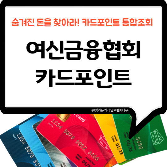  숨겨진 돈을 찾아라! 여신금융협회 카드포인트