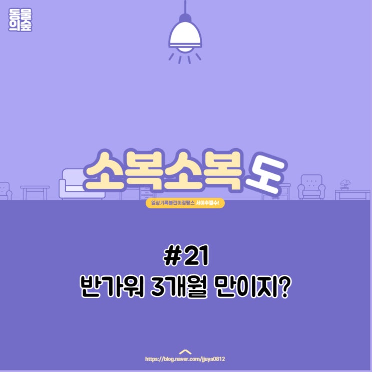 [동숲] 3개월 만에 접속하기 / 겨울섬 / 눈사람 / 눈결정 / 겨울레시피
