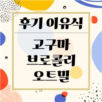 후기이유식 레시피 : 고구마 브로콜리 오트밀(육아대디)