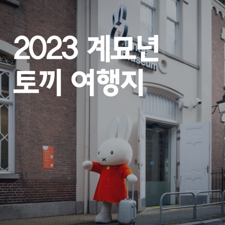  2023년 계묘년! 토끼 여행지로 떠나 볼까?