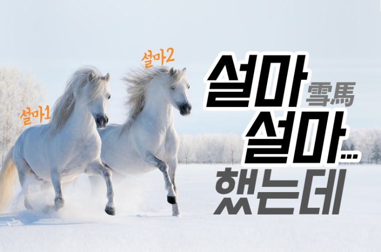 설마...(feat. 코로나 pcr검사)