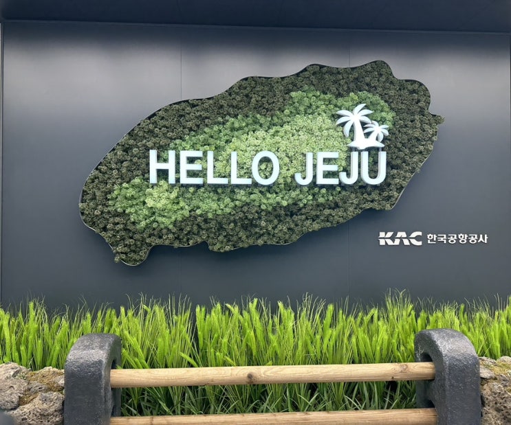  김포공항 신분증 두고 왔을 때, 정부24 어플로 탑승 쌉가능!