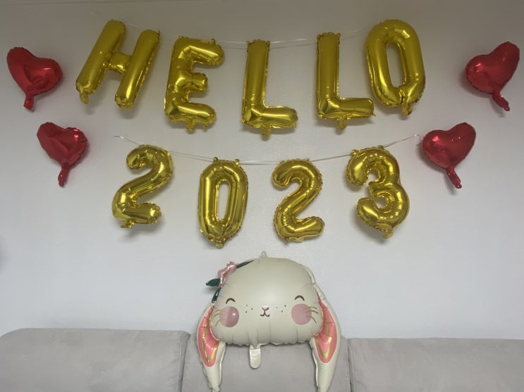  [블로그씨 질문] 소한이요? 밖에 추워요? 계획이요? 없어요!