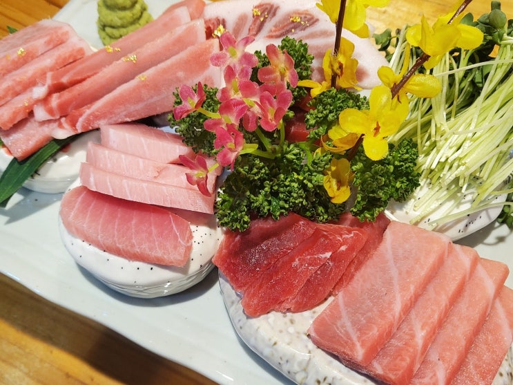  관저동참치회 탄탄한 구성 좋았던 히로미 참치
