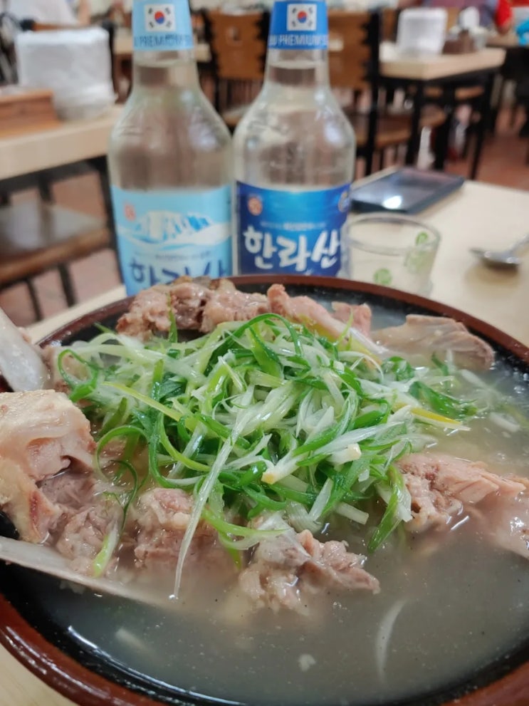 제주공항근처 맛집 닥그네할망 접짝뼈국 존맛탱