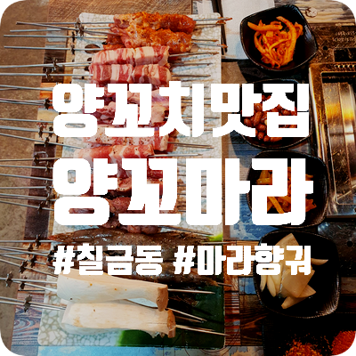  [충주 맛집] 양꼬마라 - 육향 진한 칠금동 양꼬치 맛집