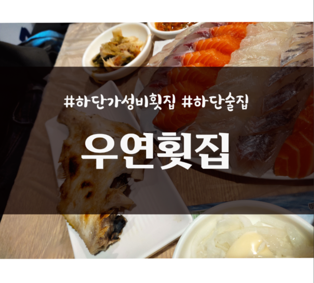  부산 하단 두툼한 회를 먹고 싶다면 가성비 횟집 우연횟집 _ 내돈내산